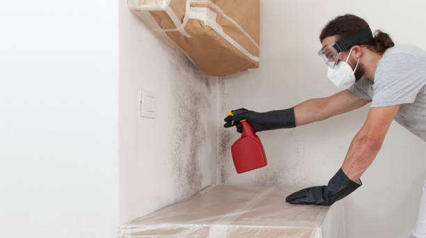 Professional Basement Mold Removal technician working in Oaklyn, NJ
