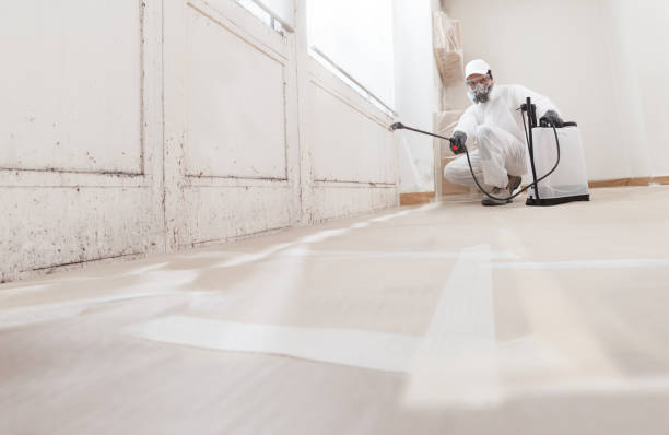24/7 Emergency Basement Mold Removal experts in Oaklyn, NJ