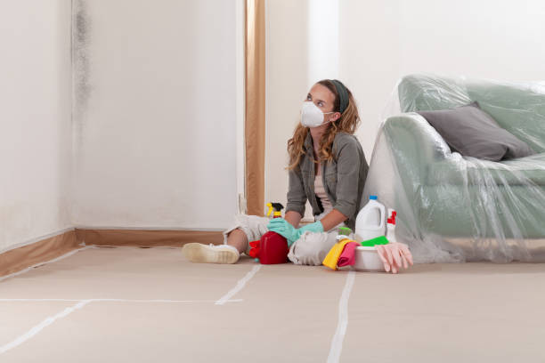 Reliable Basement Mold Removal contractor in Oaklyn, NJ by WQB Mold Removal
